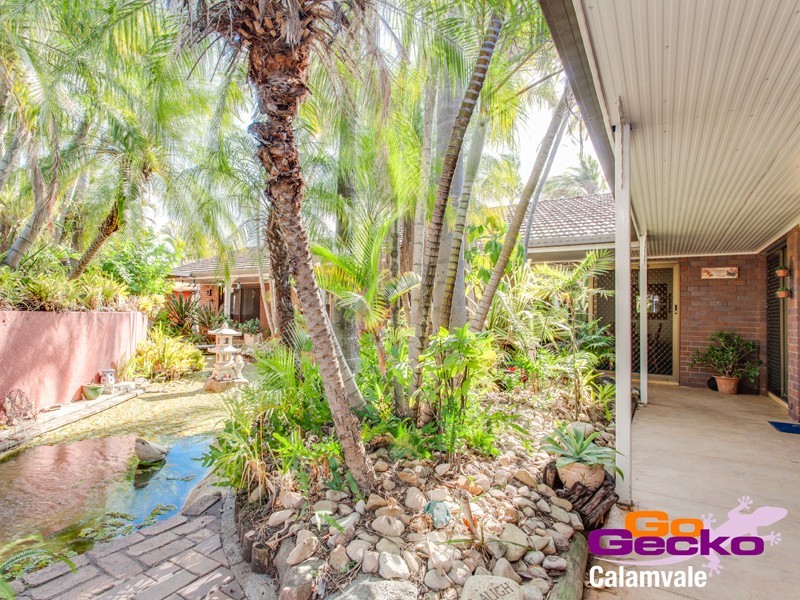 93 Jackson Road, Sunnybank Hills QLD 4109
