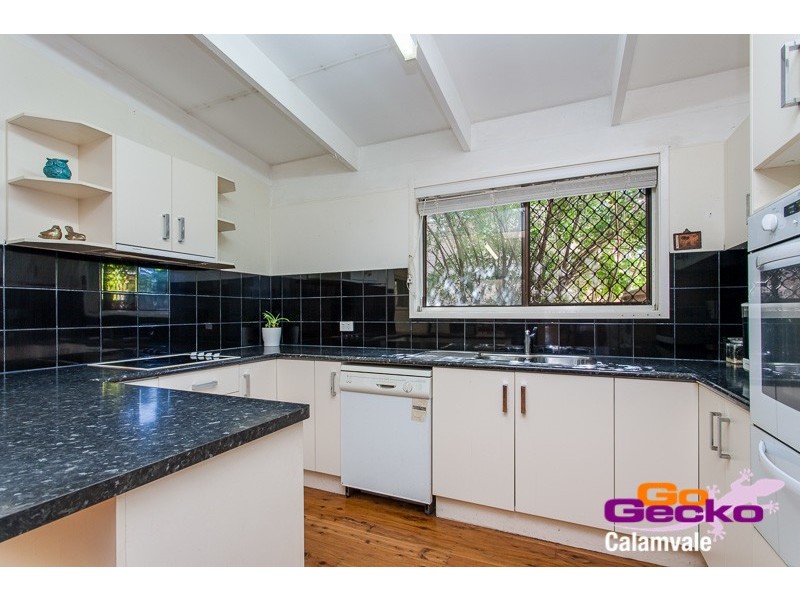 10 Rapanea Street, Algester QLD 4115