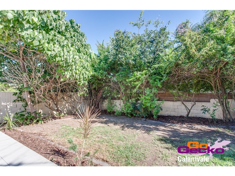 10 Rapanea Street, Algester QLD 4115