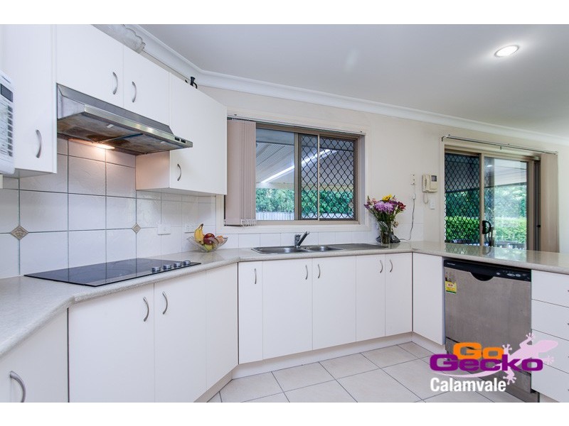 19 Scribbly Gum Street, Sunnybank Hills QLD 4109