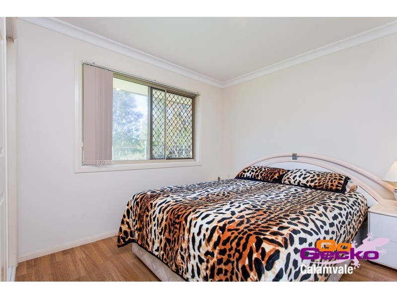 19 Scribbly Gum Street, Sunnybank Hills QLD 4109