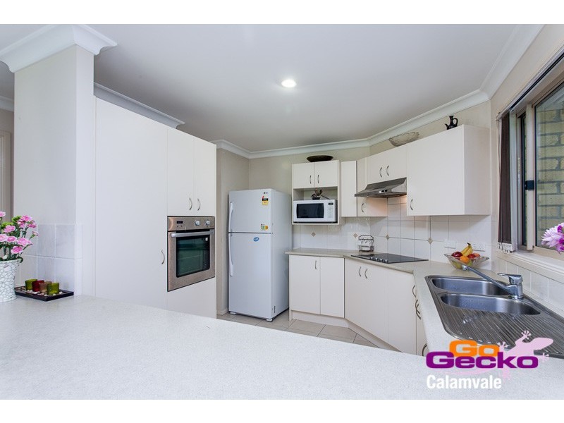 19 Scribbly Gum Street, Sunnybank Hills QLD 4109