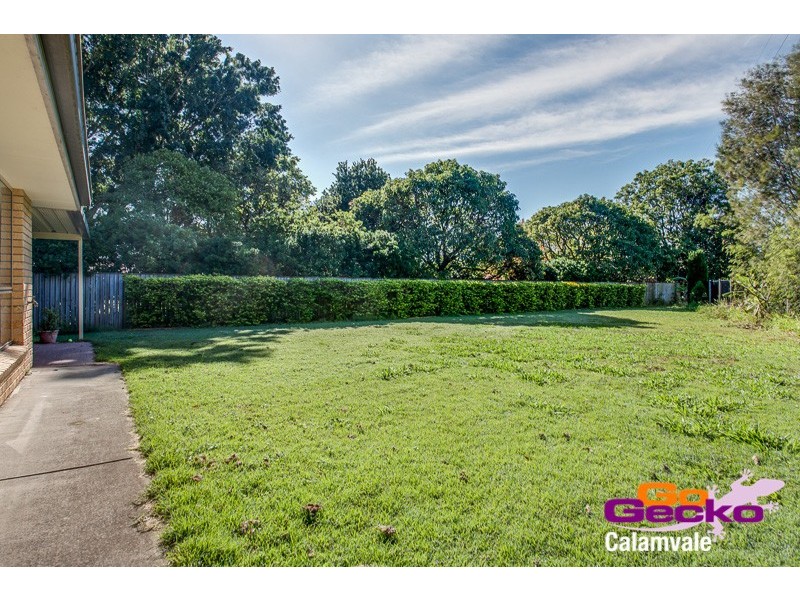 19 Scribbly Gum Street, Sunnybank Hills QLD 4109