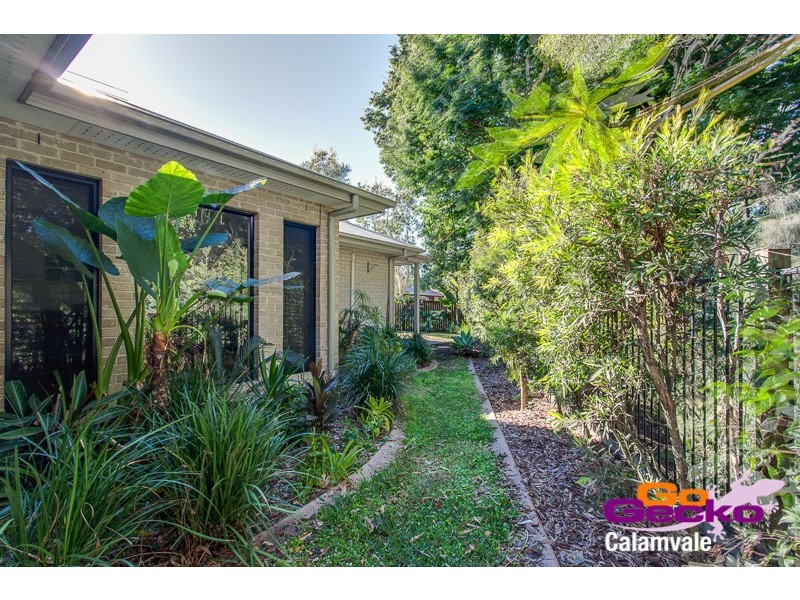 19 Brushbox Crescent, Sunnybank Hills QLD 4109