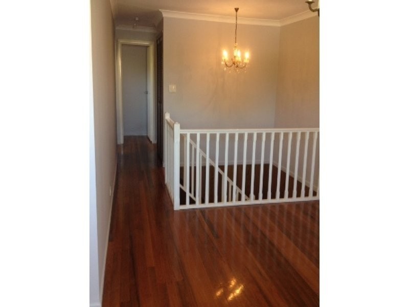 5 Cedrus Street, Sunnybank Hills QLD 4109