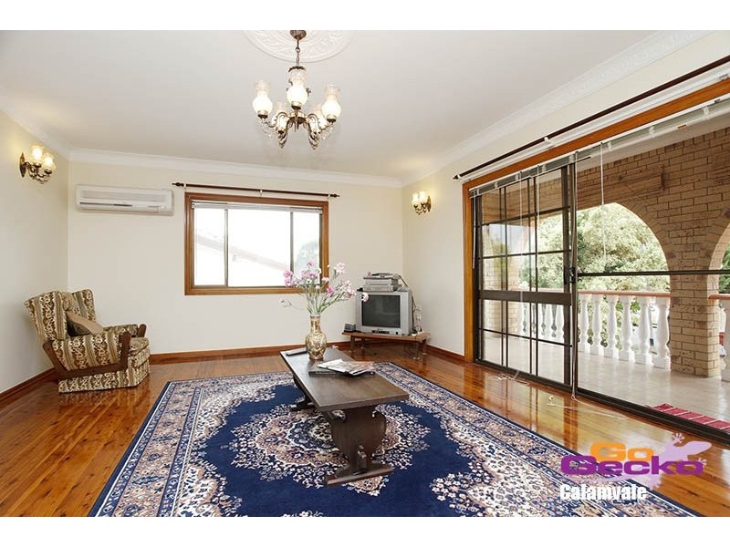 11 Balonne St, Runcorn QLD 4113