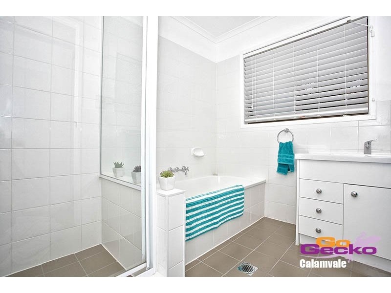 48 Honeywood St, Sunnybank Hills QLD 4109
