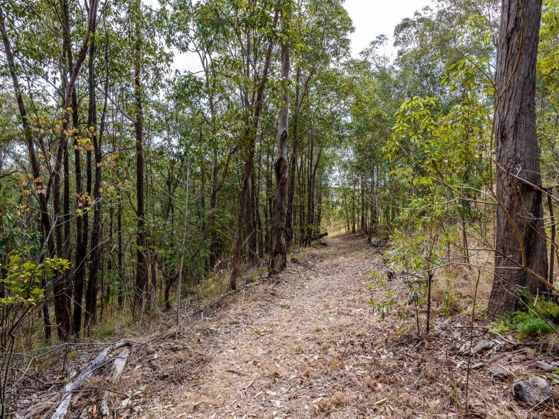 41 Uplands Drive, Parkwood QLD 4214