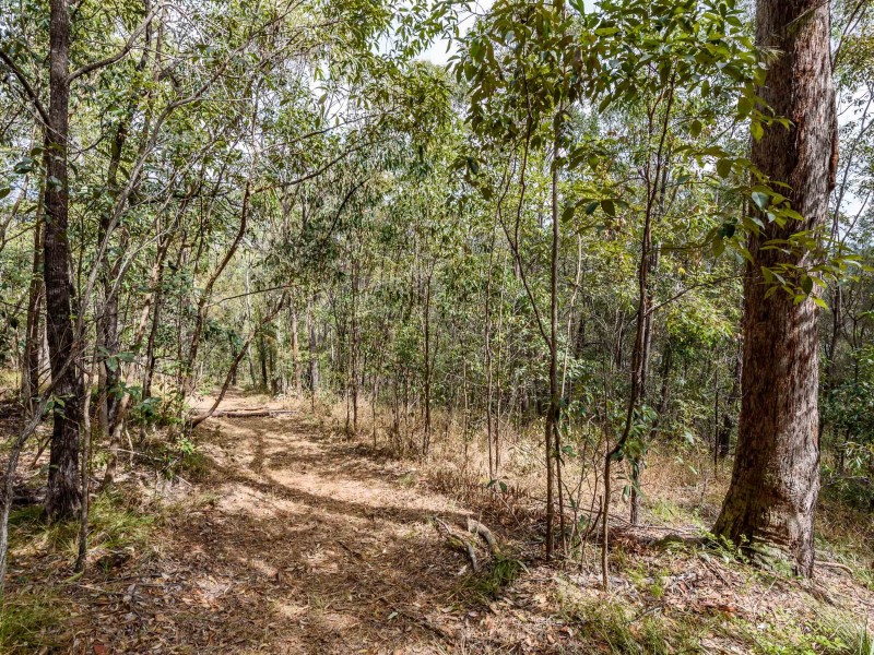 41 Uplands Drive, Parkwood QLD 4214