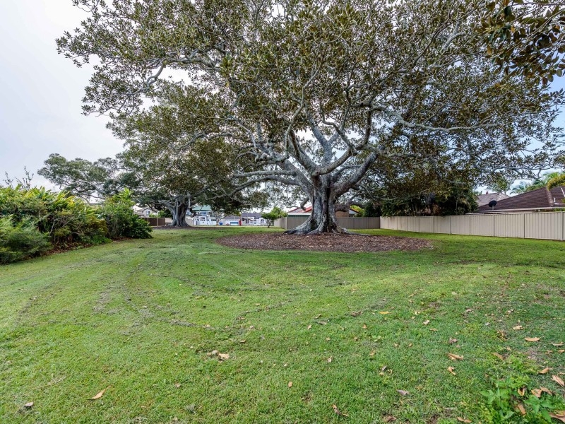 38 Arlene Park Terrace, Helensvale QLD 4212