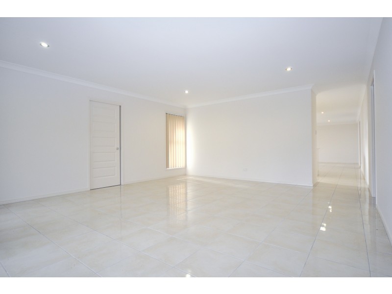 10 Nimbus Court, Coomera QLD 4209