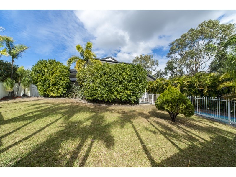7 Cherry Alder Court, Arundel QLD 4214
