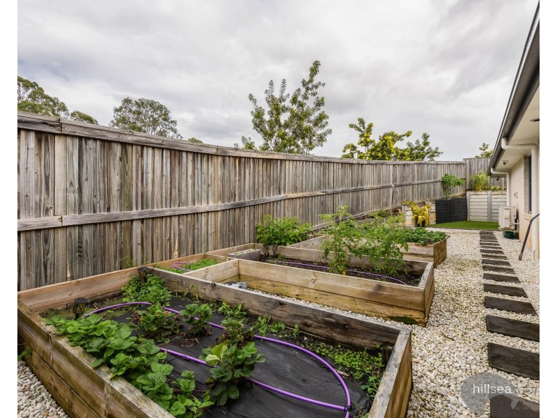 20 Vanes Street, Coomera QLD 4209