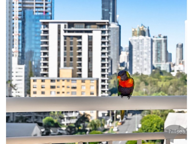1001/42-46 Pacific Street, Main Beach QLD 4217