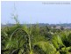 17/24 Cannington Place, Helensvale QLD 4212