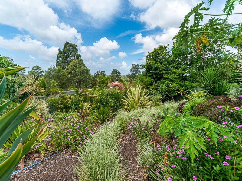 3 Leura Place, Helensvale QLD 4212