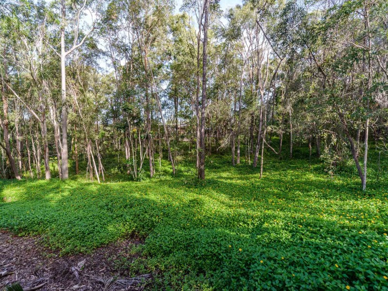 11 Dromana Crescent, Helensvale QLD 4212