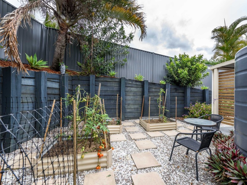 15 Pinebark Avenue, Oxenford QLD 4210