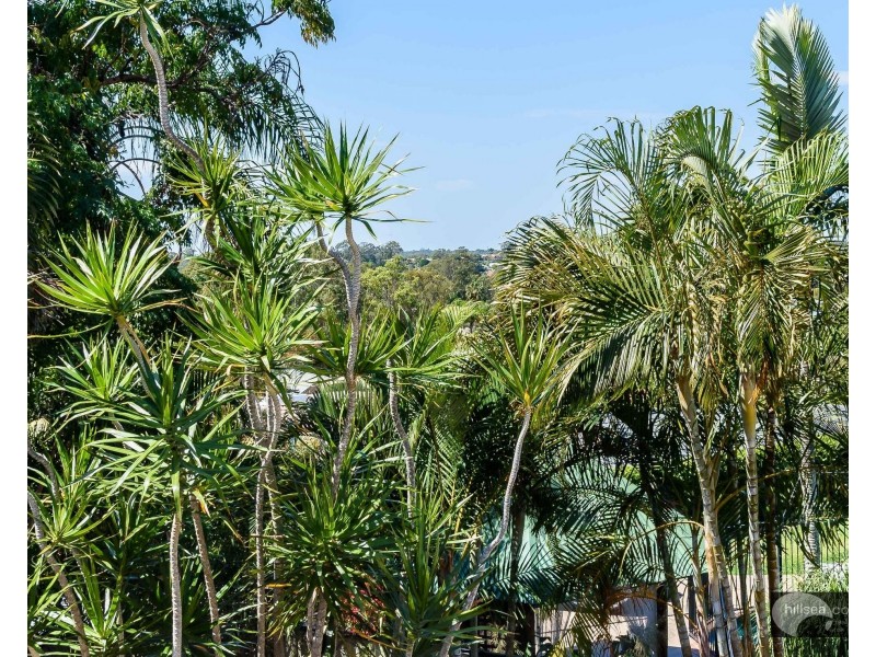 3 Maldon Court, Helensvale QLD 4212