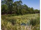 23 Carmarthen Circuit, Pacific Pines QLD 4211