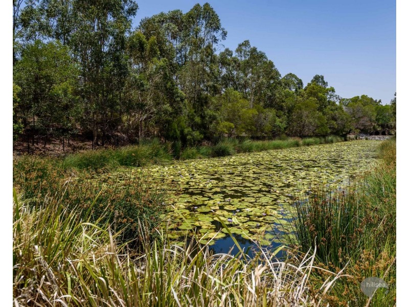 23 Carmarthen Circuit, Pacific Pines QLD 4211