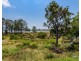 17 Silverpine Crescent, Oxenford QLD 4210