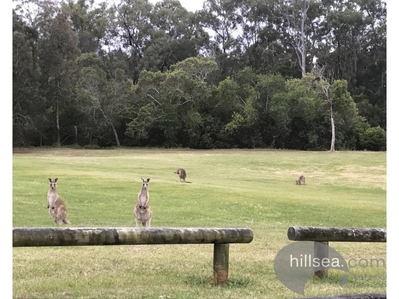 39 Trade Winds Drive, Helensvale QLD 4212