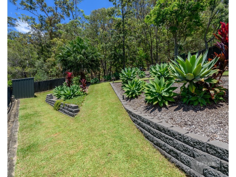 19 Mullewa Crescent, Helensvale QLD 4212