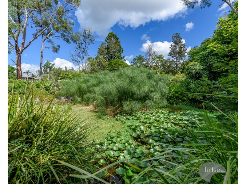 10 Herbert Street, Upper Coomera QLD 4209