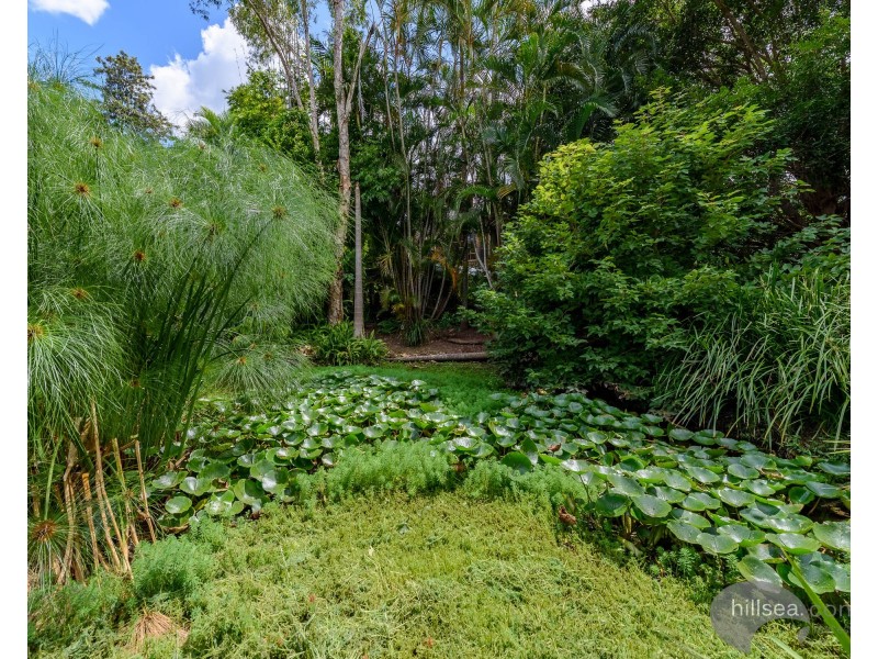 10 Herbert Street, Upper Coomera QLD 4209