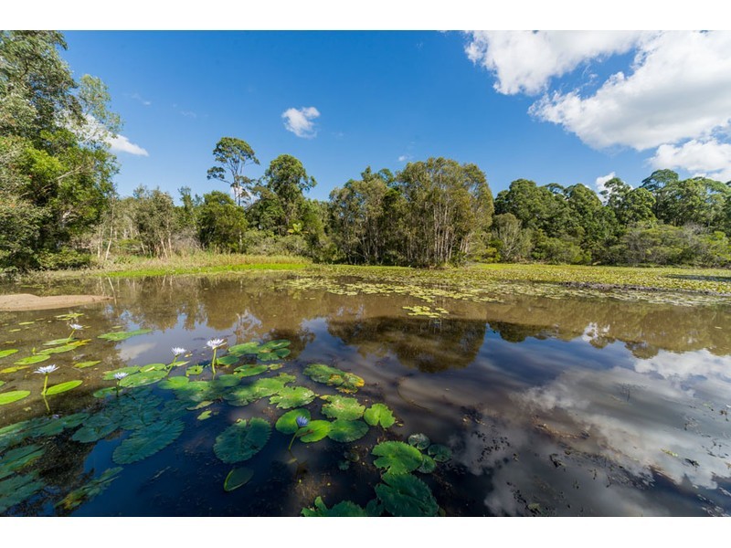 41 Burley Griffin Drive, Maudsland QLD 4210