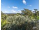 56 Midway Terrace, Pacific Pines QLD 4211