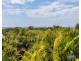 67 Kincaid Drive, Highland Park QLD 4211