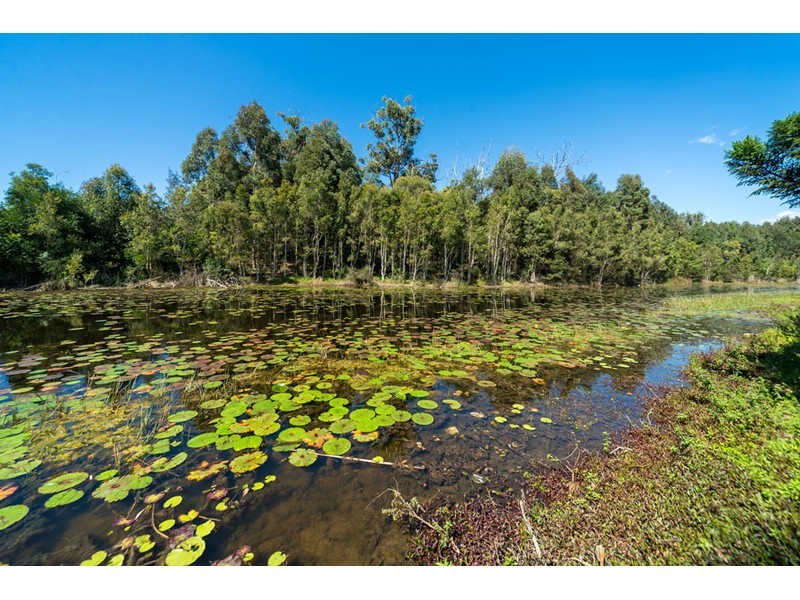 44 Silver Gull Street, Coomera QLD 4209