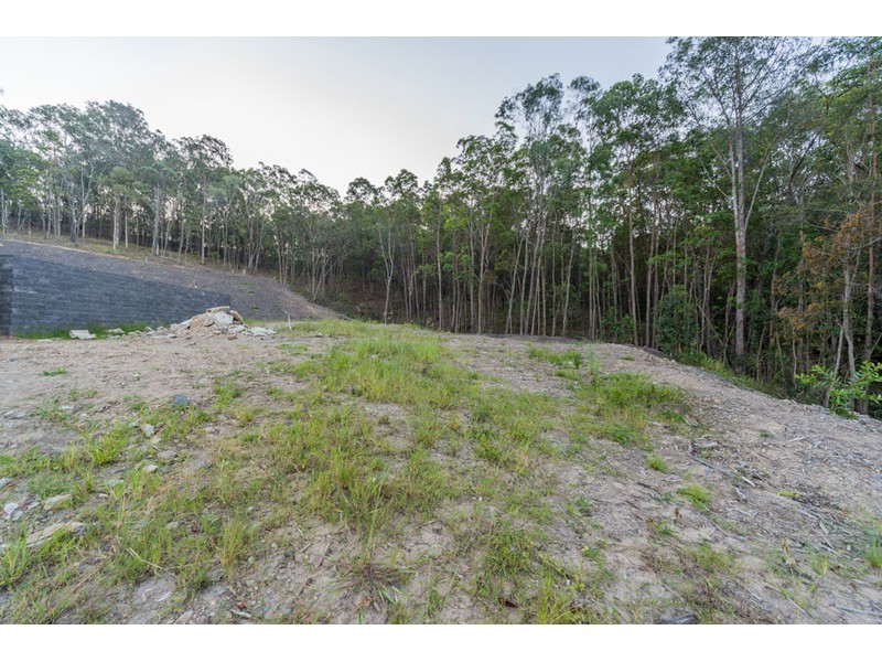 24 Bass Court, Oxenford QLD 4210