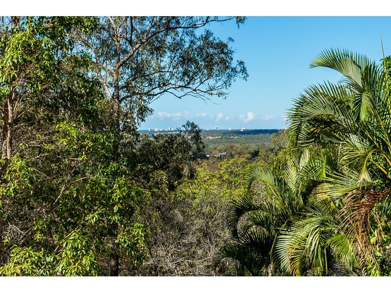 71 Highvale Drive, Helensvale QLD 4212