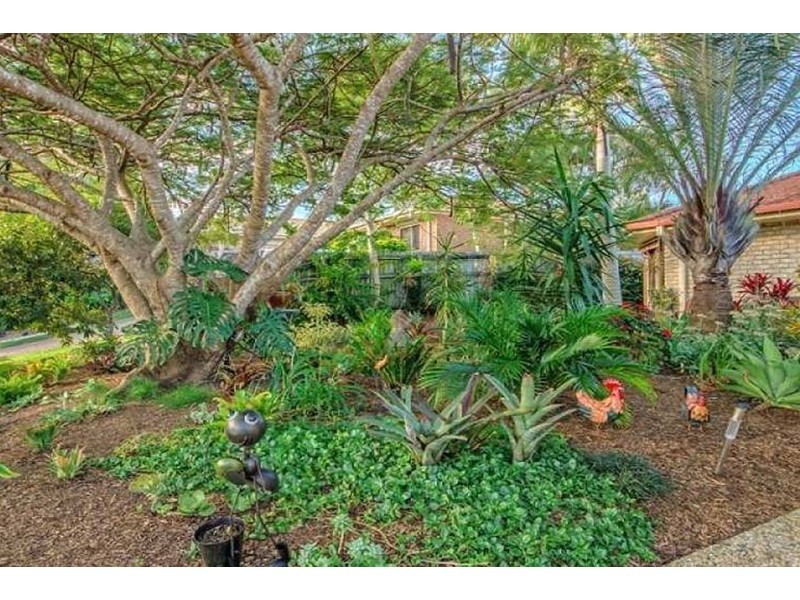 49 Cootharaba Drive, Helensvale QLD 4212