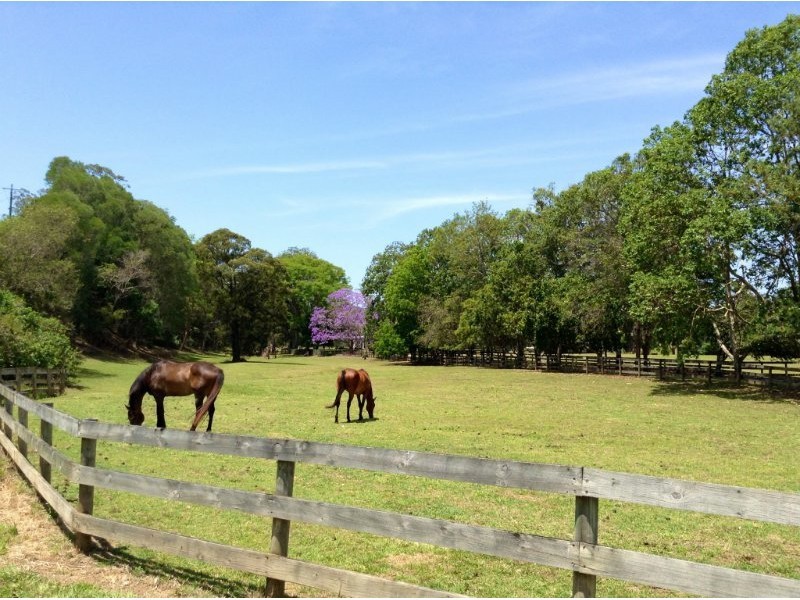 36 Tarata Road, Guanaba QLD 4210