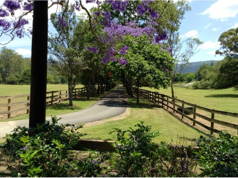 36 Tarata Road, Guanaba QLD 4210