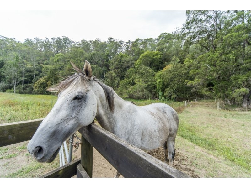 21 Memorial Drive, Upper Coomera QLD 4209