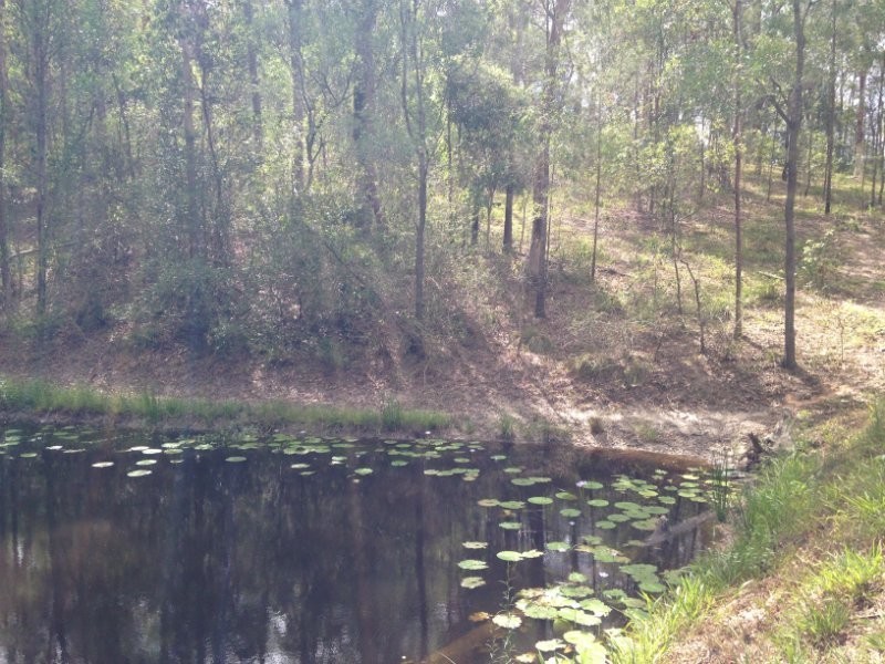 21 Memorial Drive, Upper Coomera QLD 4209