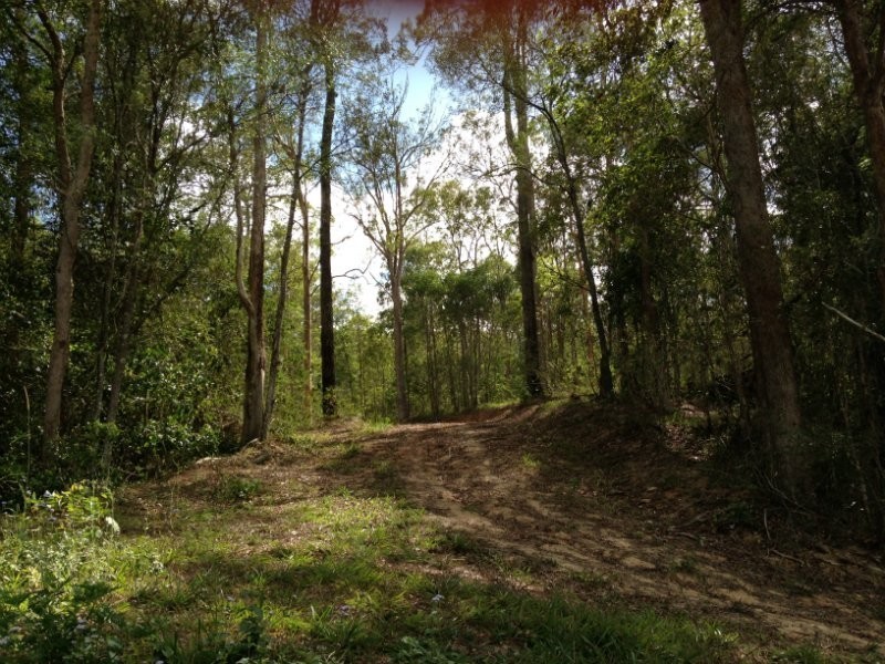 21 Memorial Drive, Upper Coomera QLD 4209