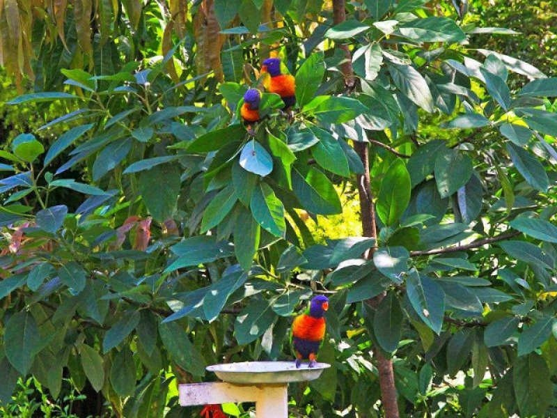 30 Ruth Terrace, Oxenford QLD 4210