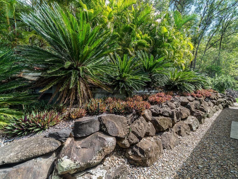 6 Woodbridge Place, Oxenford QLD 4210