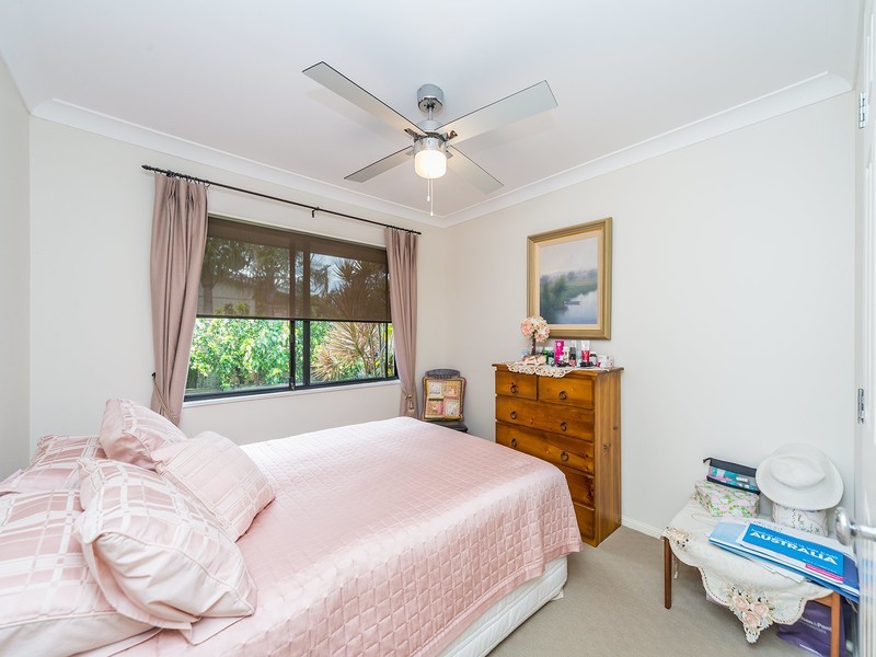59 Stanfield Drive, Upper Coomera QLD 4209