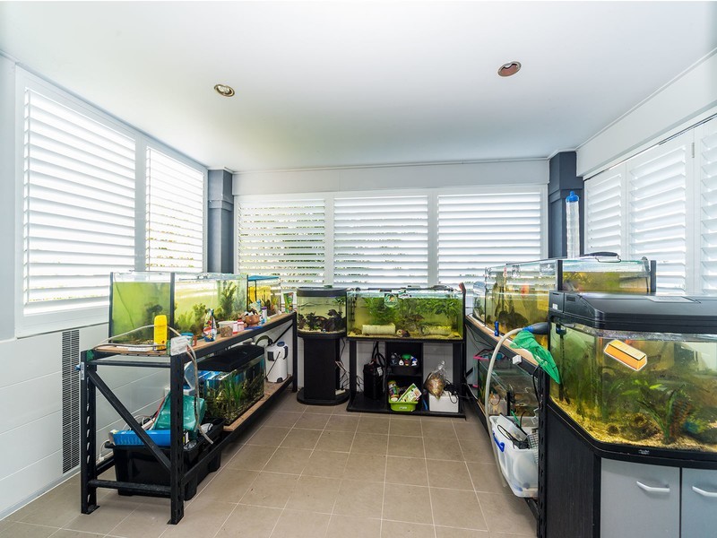 6 Bunjil Place, Upper Coomera QLD 4209