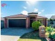 16 River Meadows Drive, Upper Coomera QLD 4209