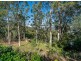 29B Solomon Lane, Wongawallan QLD 4210