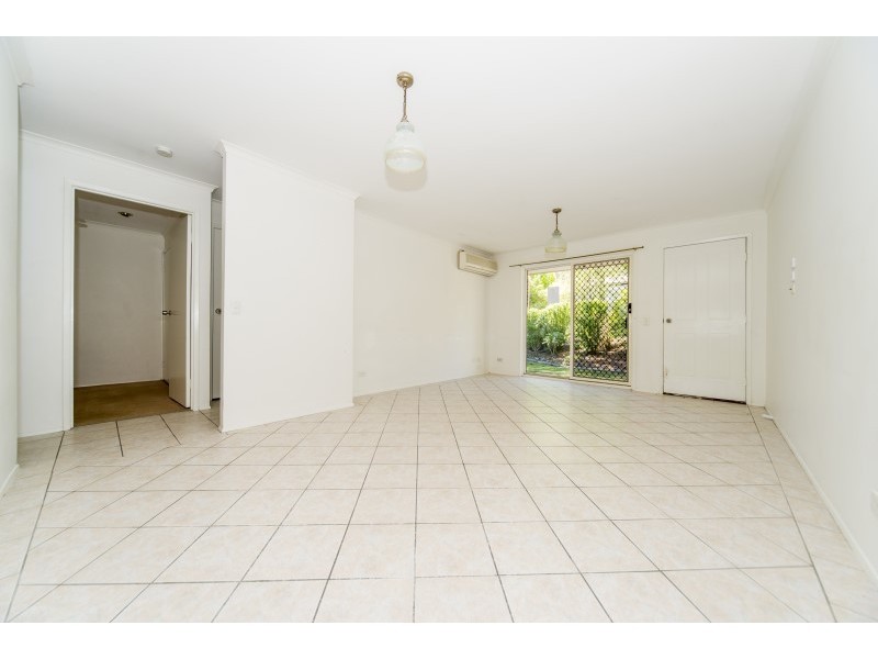 1/3 Wayne Place, Oxenford QLD 4210