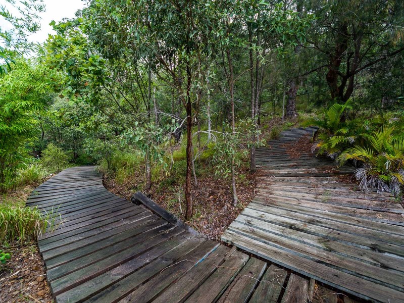 5 McNamara Court, Oxenford QLD 4210